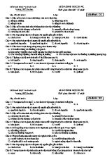 Bộ đề kiểm tra 15 phút môn Sinh học Lớp 10 (Nâng cao) - Trường THPT Lê Lợi